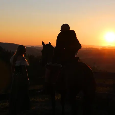 Appartamento Erlebnishof Steinkellnergut *