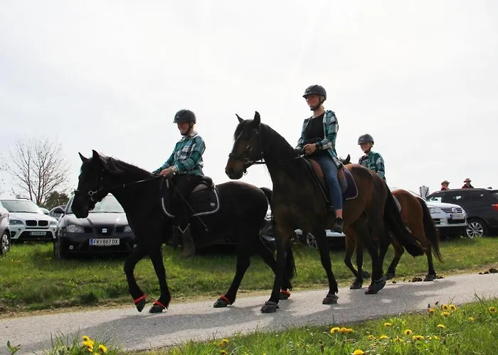 Erlebnishof Steinkellnergut *
