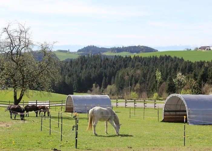 Erlebnishof Steinkellnergut Appartamento *