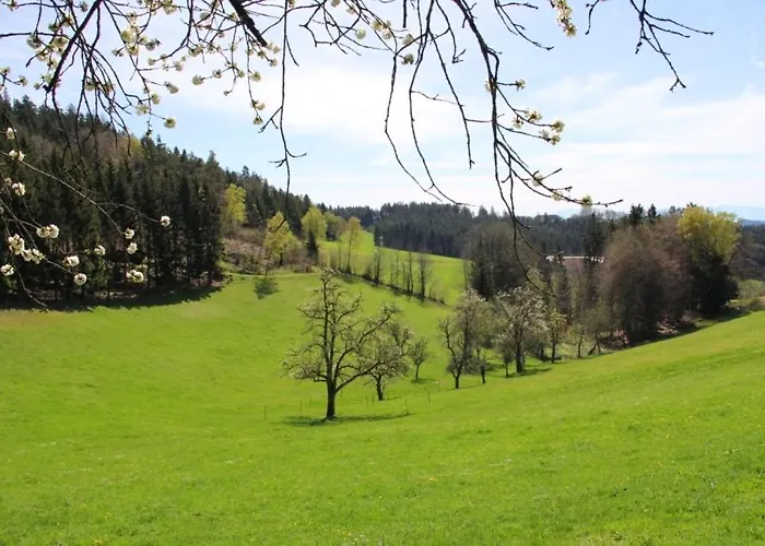 Erlebnishof Steinkellnergut Appartamento