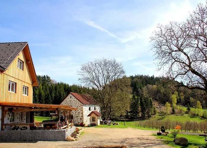 Erlebnishof Steinkellnergut Διαμέρισμα Henndorf (Perg)