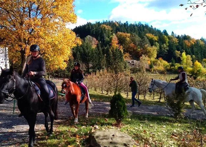 Erlebnishof Steinkellnergut Henndorf (Perg)