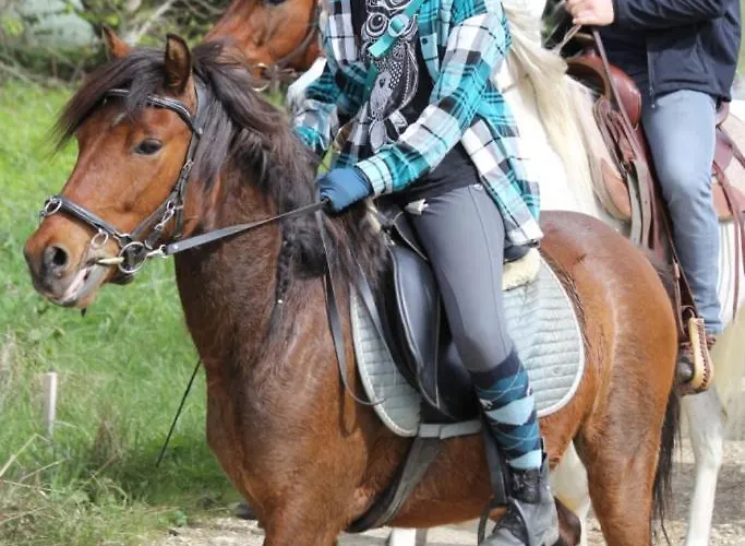 Erlebnishof Steinkellnergut Διαμέρισμα