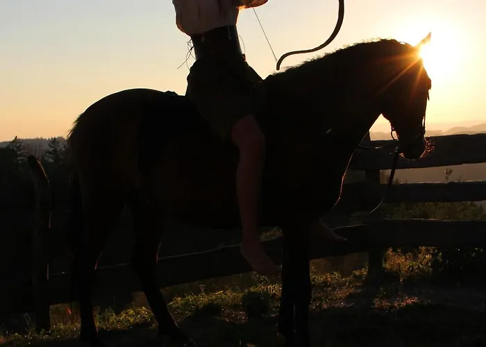 Erlebnishof Steinkellnergut Διαμέρισμα *