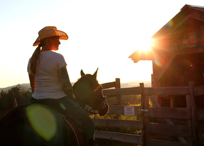 Erlebnishof Steinkellnergut * Henndorf (Perg)