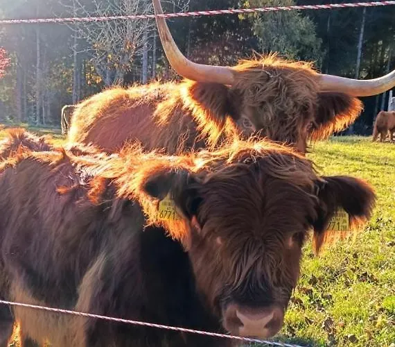 Διαμέρισμα Erlebnishof Steinkellnergut