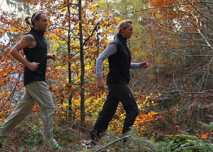 Erlebnishof Steinkellnergut Henndorf (Perg)