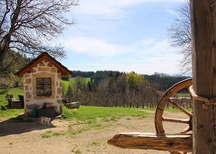 Erlebnishof Steinkellnergut * Henndorf (Perg)