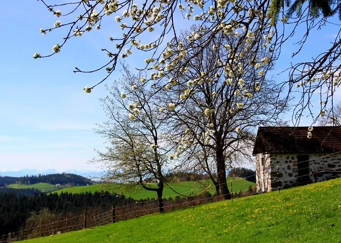 Erlebnishof Steinkellnergut Διαμέρισμα *