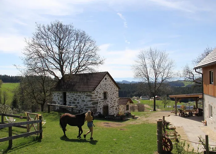 Erlebnishof Steinkellnergut Διαμέρισμα *